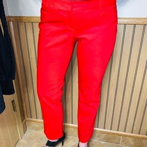 Express Columnist dress pants